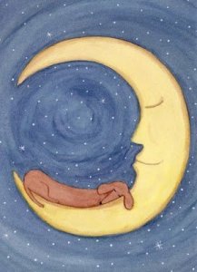 6f3bb710790bb05809c9308ef603feef